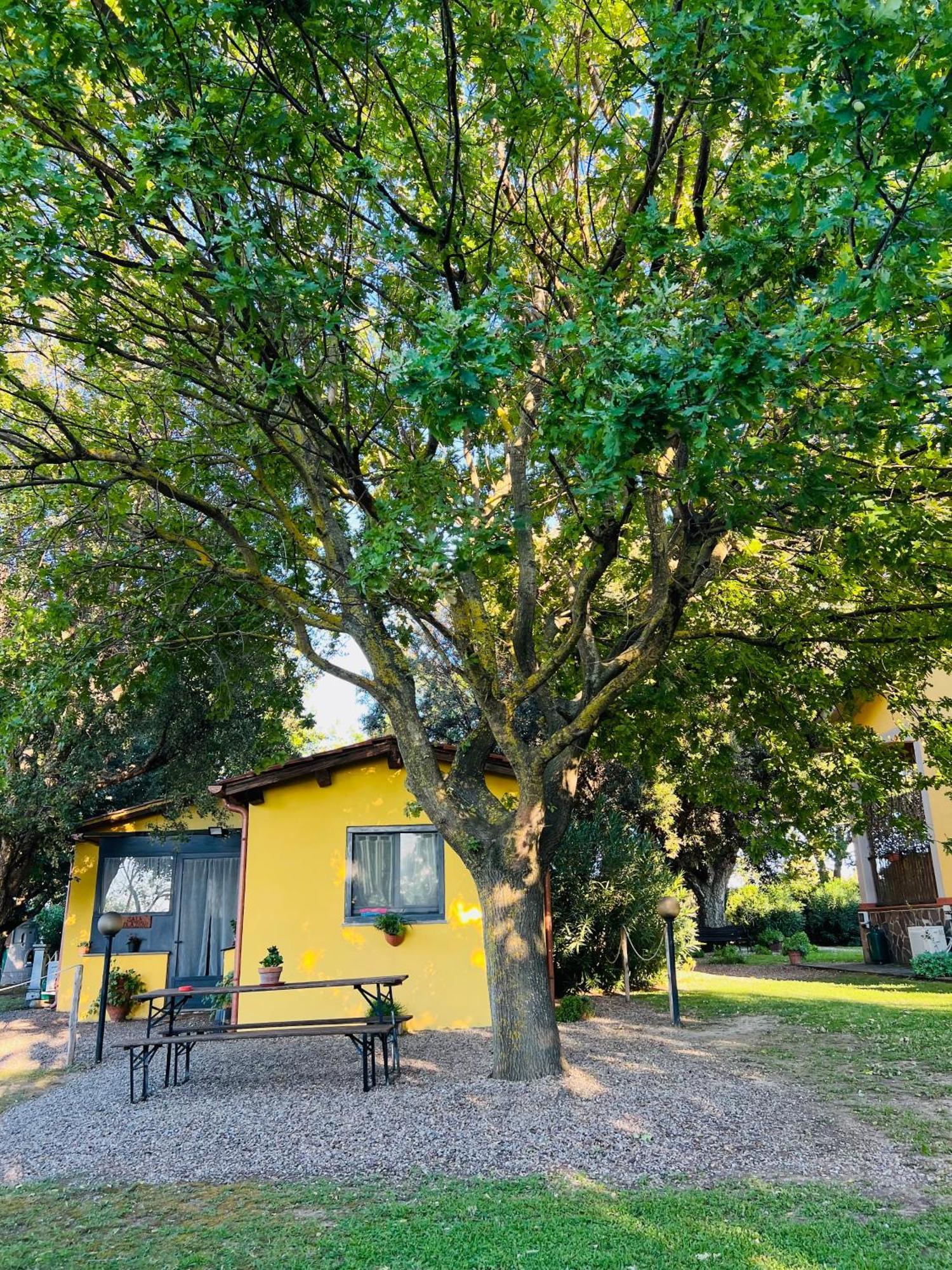 Bed and Breakfast Il Melarancio Пеша-Романа Экстерьер фото